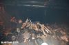 Filename=aild13.jpg
Filesize=97KB
Dimensions=790x524
Date added=Aug 13, 2008 aild13.jpg
