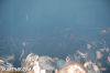 Filename=caliban13.jpg
Filesize=62KB
Dimensions=752x500
Date added=Dec 30, 2007 caliban13.jpg