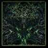 Annotations Of An Autopsy
