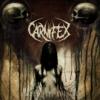 Carnifex