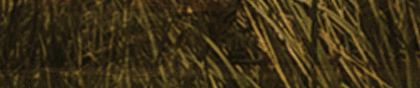 Skartnak.com